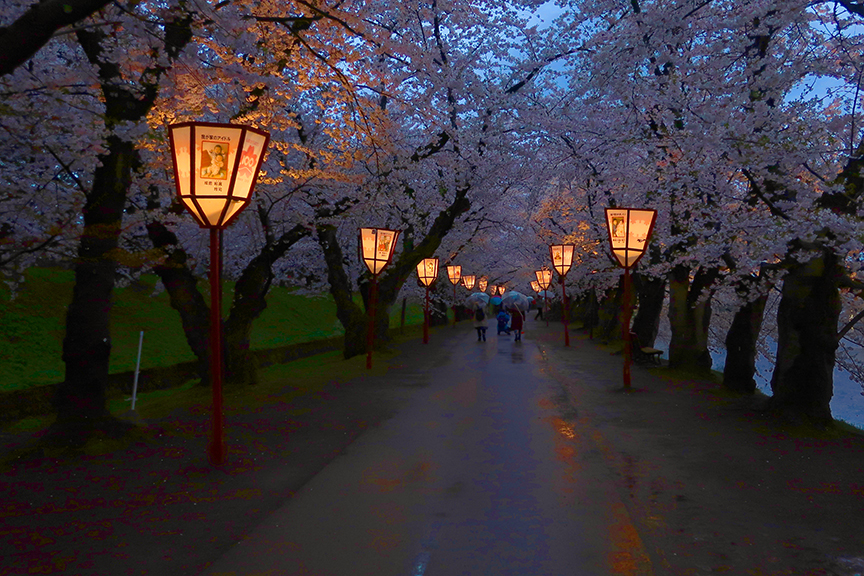 Cherry blossom season at Hirosaki Castle in Aomori prefecture